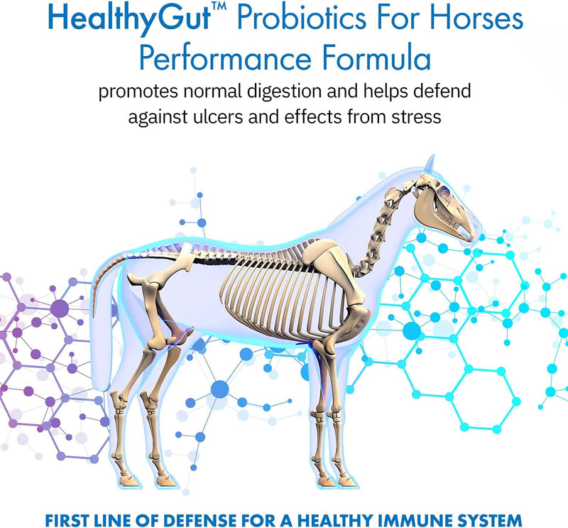 Healthygut™ Probiotics for Horses Dietary Supplement, All-Natural Digestive System Performance Formula (90 Days)