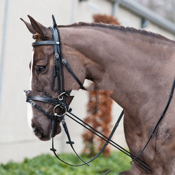 Supplies Quality Stretch Horse Bridle All Year Round