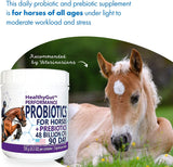 Healthygut™ Probiotics for Horses Dietary Supplement, All-Natural Digestive System Performance Formula (90 Days)