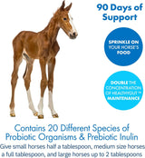 Healthygut™ Probiotics for Horses Dietary Supplement, All-Natural Digestive System Performance Formula (90 Days)