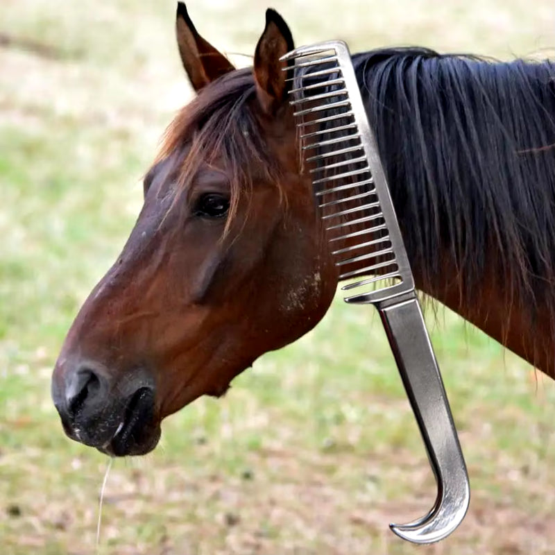 2Pcs Animals Comb Thickened Tooth Durable Grooming Metal Horse Comb Mane Tail Pulling Comb Horse Cleaning Tool Animals Supplies