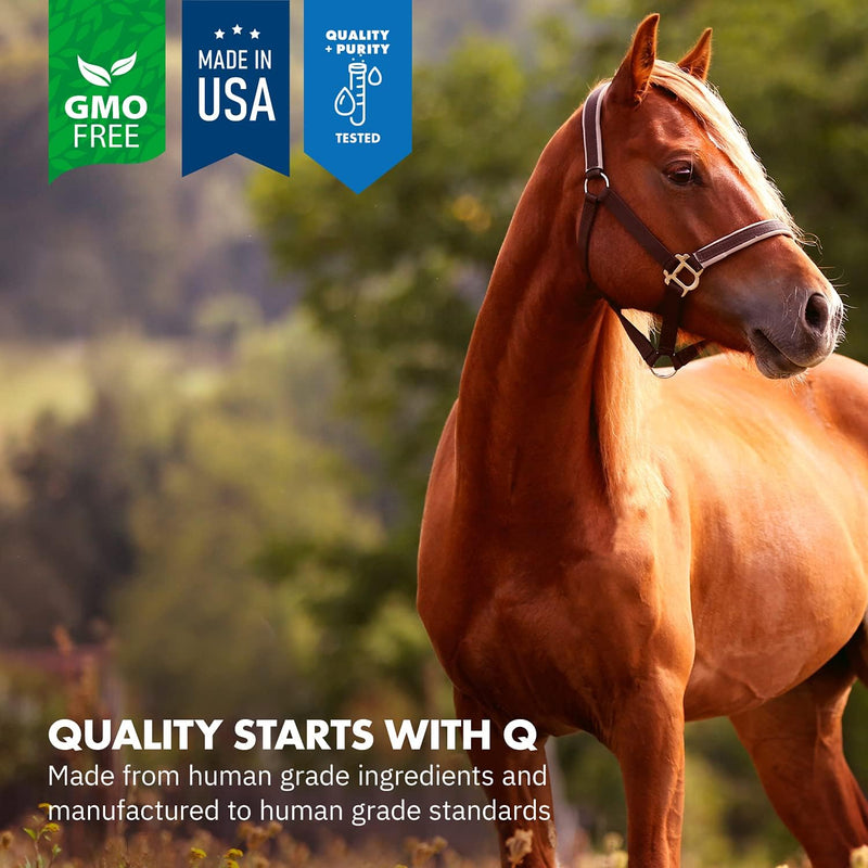 Healthygut™ Probiotics for Horses Dietary Supplement, All-Natural Digestive System Performance Formula (90 Days)