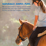 Healthygut™ Probiotics for Horses Dietary Supplement, All-Natural Digestive System Performance Formula (90 Days)