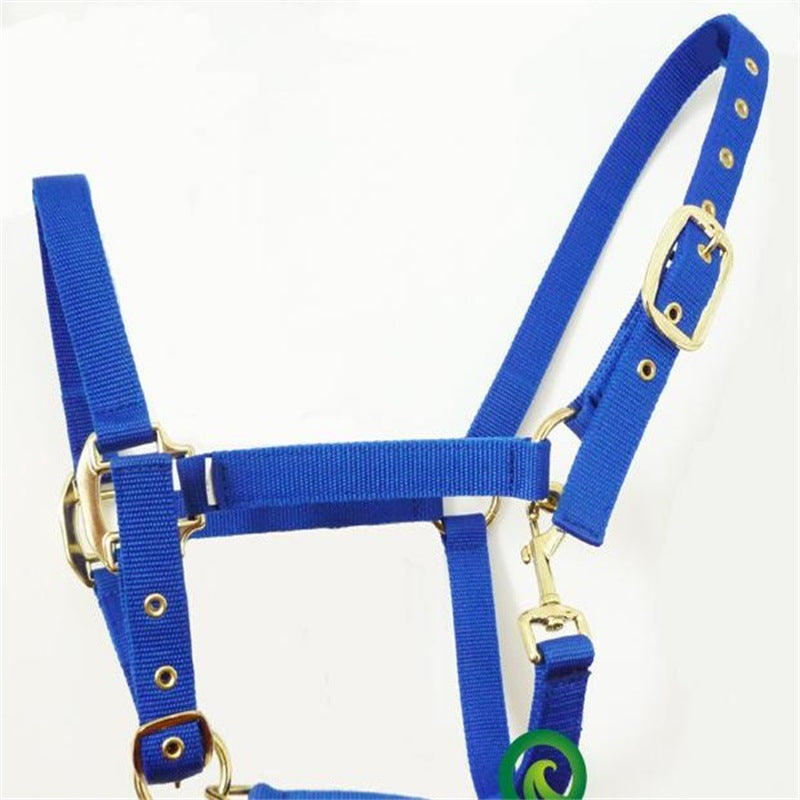 Horse Bridle Horse Headgear Can Be Customized Equestrian Equipment And Other Equestrian Supplies